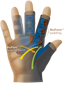 Harbinger BioForm™ Glove - Gri için detaylar