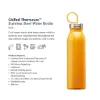 Aladdin Chilled Thermavac Stainless Steel - Çelik Su u 0.55L Siyah - Termos