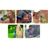 Contigo AutoSeal Swish 0.5L Turuncu - Matara