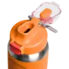 Stanley 0.7L Wellspring Bottle - Yalıtımlı Su Şişesi Matara Goldenrod Coral
