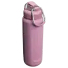 Stanley 0.7L Wellspring Bottle - Yalıtımlı Su Şişesi Matara Purple Smoke Gloss