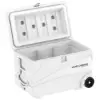 Ice Peak CoolCraft Tekerlekli Buzluk 75,2 Litre Beyaz